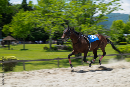 Horseback riding