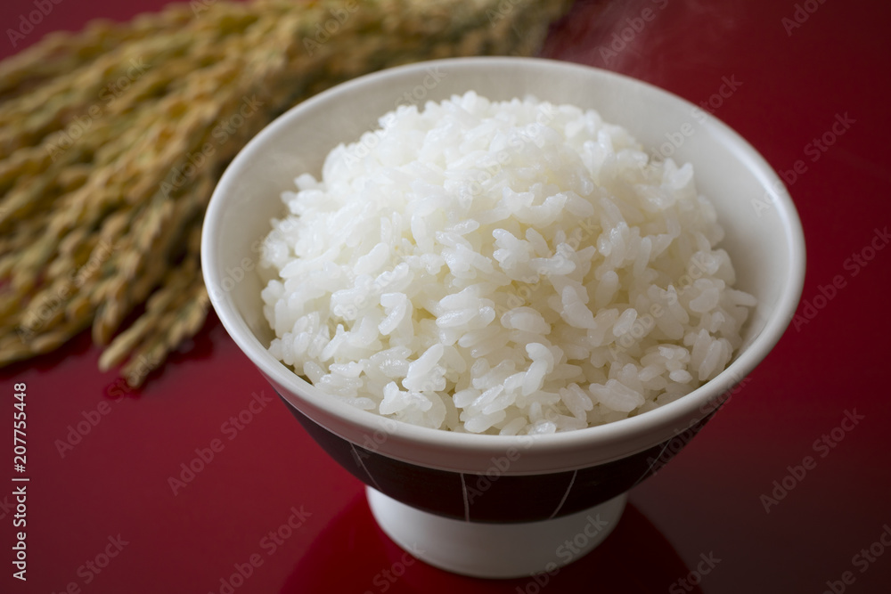 ごはん ごはん