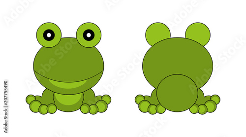 Cartoon frog. View from front and back