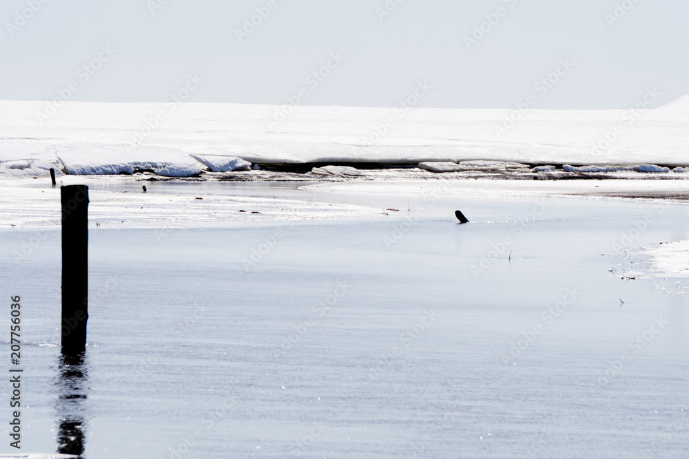 Obolon embankment in a Dangerous hobby-winter fishing the River was covered with the first thin ice, but winter fishing lovers . Obolon embankment in a Dangerous hobby-winter fishing the River was covered with the first thin ice, but winter fishing lovers .