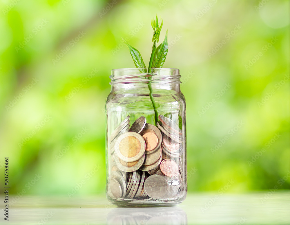 Save money interest Plant Growing In Savings Coins money in the glass saving money with hand putting coins Green Natural background Save money interest Plant Growing In Savings Coins money in the glass saving money with hand putting coins Green Natural background