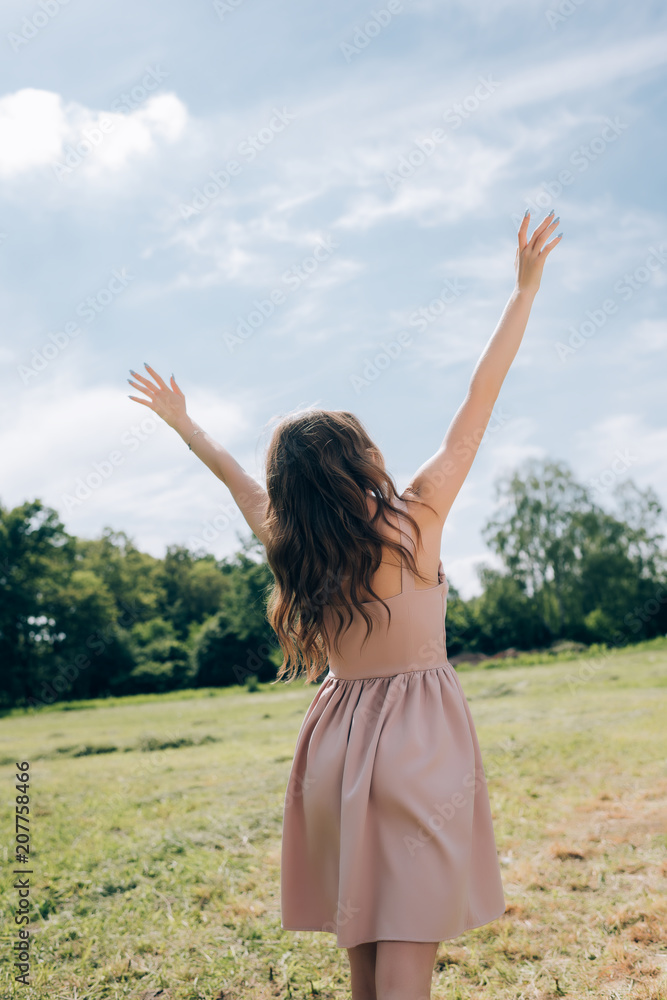 rear view of woman in stylish dress with outstretched arms standing in meadow with blue sky on background rear view of woman in stylish dress with outstretched arms standing in meadow with blue sky on background