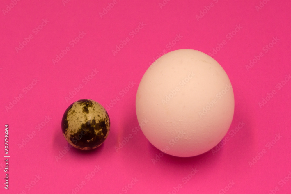 Different colors easter eggs, quail eggs and white feathers on pastel pink background, top view, flat lay. Easter holiday concept. Different colors easter eggs, quail eggs and white feathers on pastel pink background, top view, flat lay. Easter holiday concept.