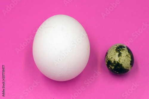 Quail eggs on a pink background close-up .