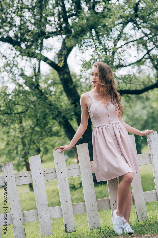 Fence top net dress