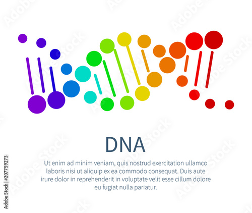 DNA Chain in Rainbow Colors on Scientific Poster