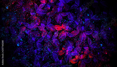 Tropical leaves, neon light
