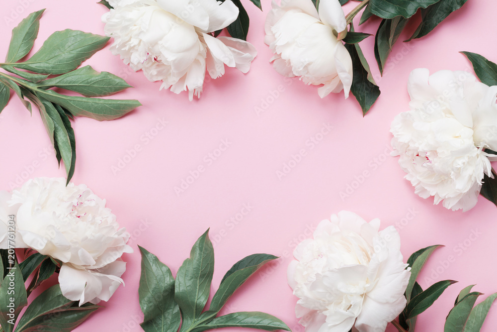 Floral frame of white peony flowers on pink pastel table top view and flat lay style. Fashion summer color.