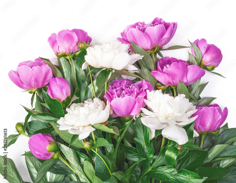 Bouquet of pink and white peonies isolated on white background. Top view. Flat lay.