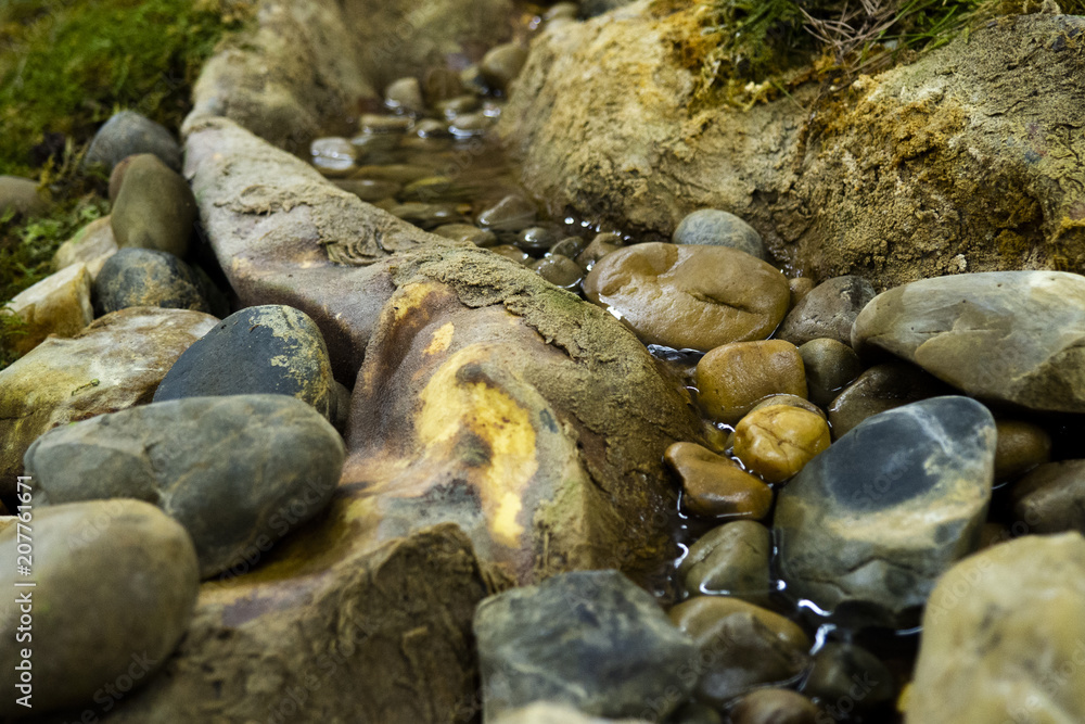mountain stream in the forest mountain stream in the forest
