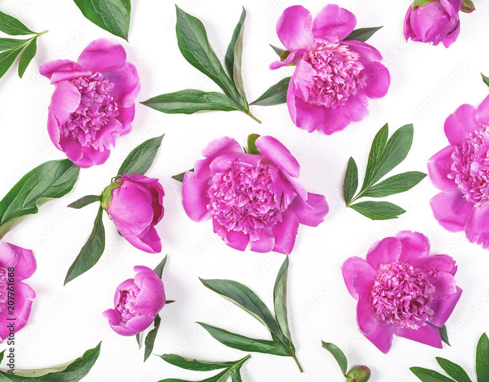Floral pattern made of pink peony flowers and leaves isolated on white background. Flat lay. Top view.