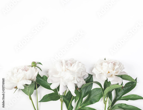 Three white peony flowers on white background. Top view with copy space. Flat lay.