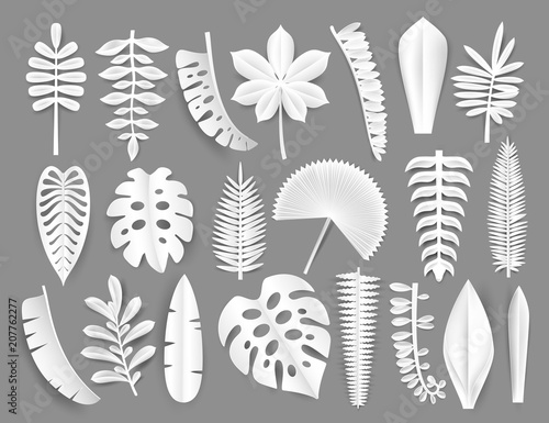 Tropical white paper cut leaves. Trendy summer exotic plants elemets with shadow isolated on grey background. Origamy style vector illustration.