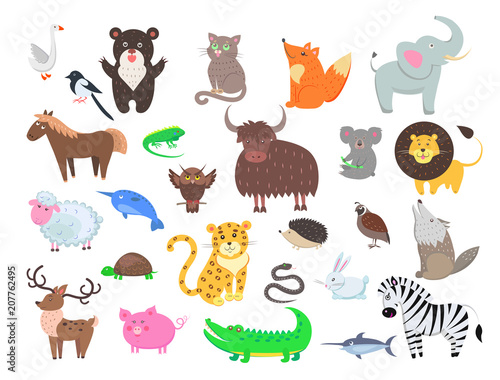 Photography Cute Animals Cartoon Flat Vector Set