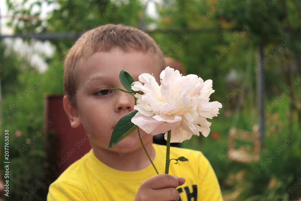 the boy is holding a peony flower in his hand the boy is holding a peony flower in his hand