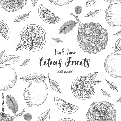 Organic citrus fruit banners. Healthy food. Engraving sketch vintage style. Vegetarian food for design menu, recipes, decoration kitchen items. Great for label, poster, packaging design.