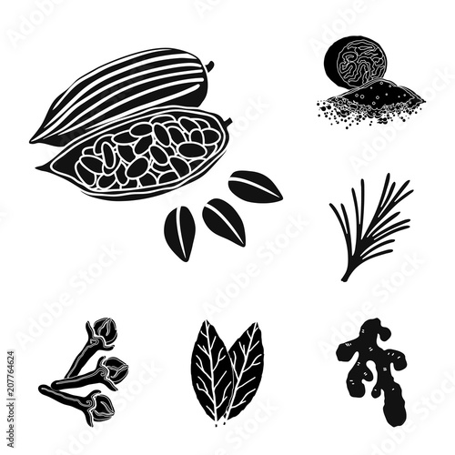 Herb and spices black icons in set collection for design.Different kinds of seasonings vector symbol stock web illustration.