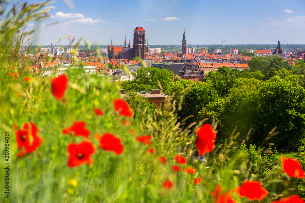Beautiful architecture of the old town in Gdansk with red poppy flowers, Poland
