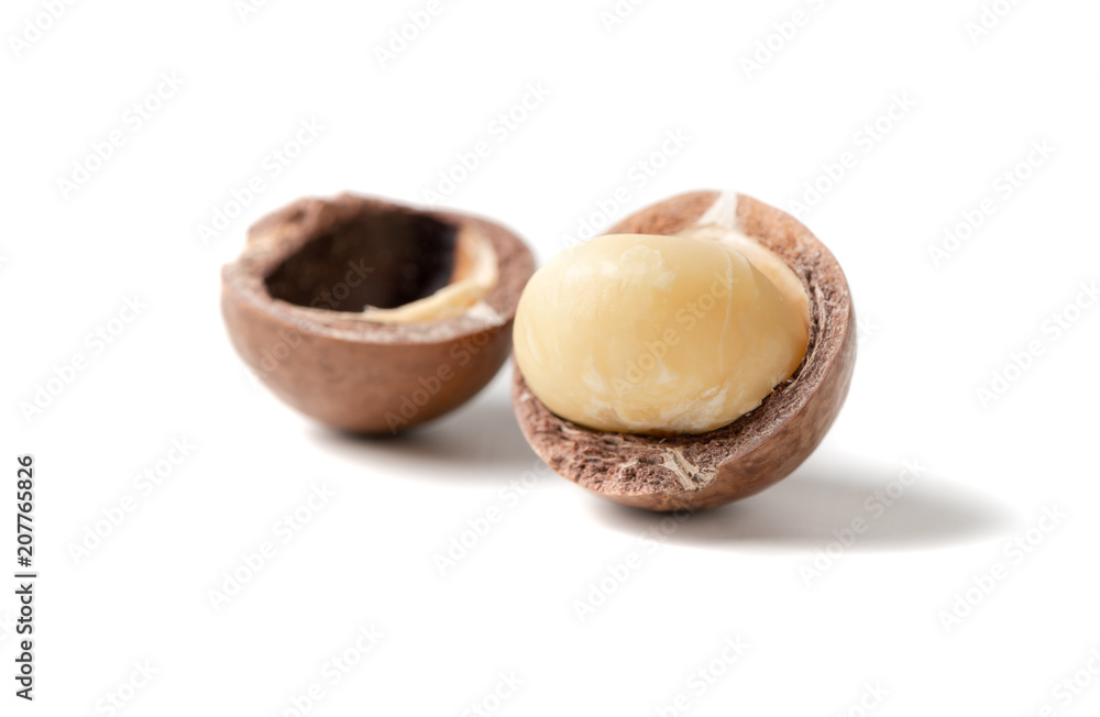 Shelled macadamia nuts isolated Shelled macadamia nuts isolated