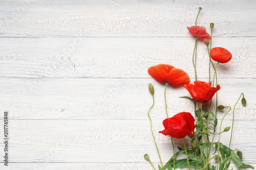 Red poppy flowers on white rustic wooden surface.