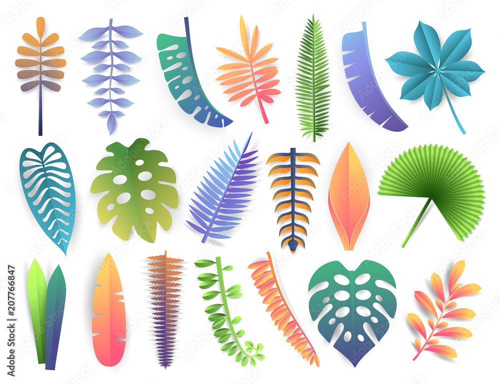 Tropical leaves collection. Trendy summer exotic palms, monstera, philodendron, kalatea, fern, orchid, banana, coconut isolated on white background. Gradient style vector illustration.