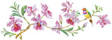 Flowering branch of orchids with colorful bird isolated.Perfect for greeting