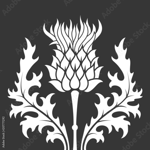 thistle, heraldic symbol of Scotland	