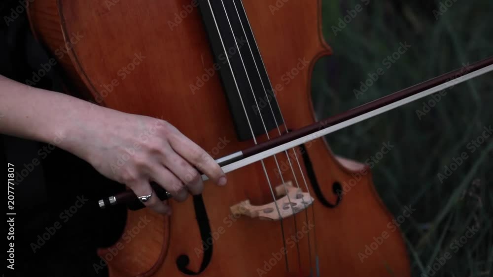 Woman violoncellist plays the violoncello at meadow on background of herbs and flowers at dusk. Closeup. Woman violoncellist plays the violoncello at meadow on background of herbs and flowers at dusk. Closeup.