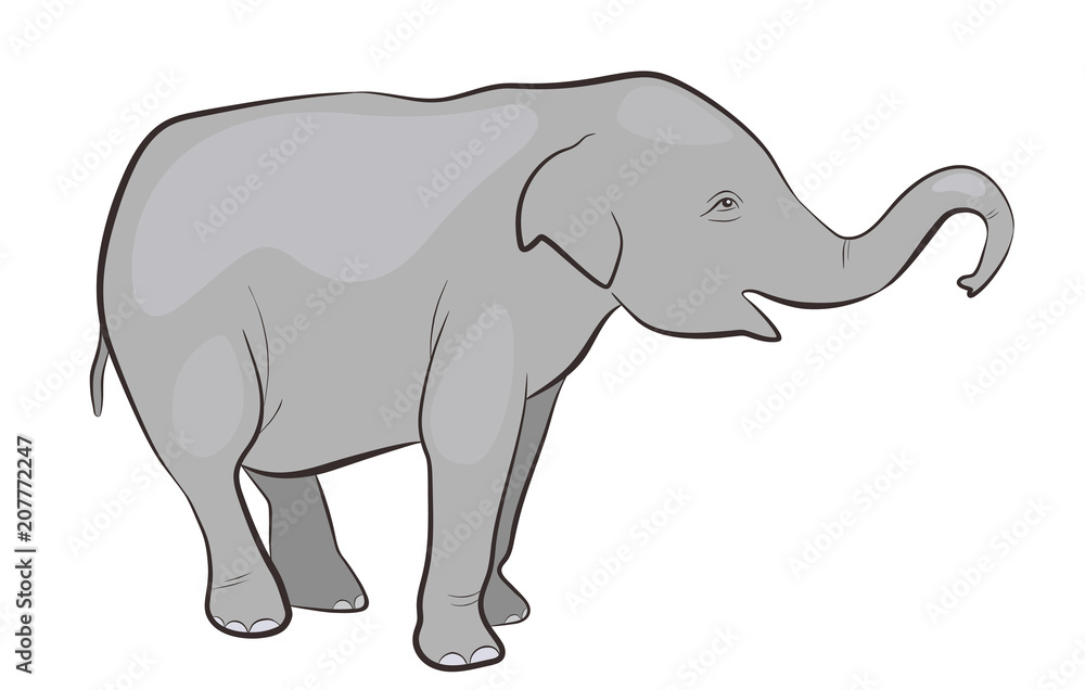 Indian elephant in profile isolated on white background, Side view of Asian  elephant Stock Vector | Adobe Stock