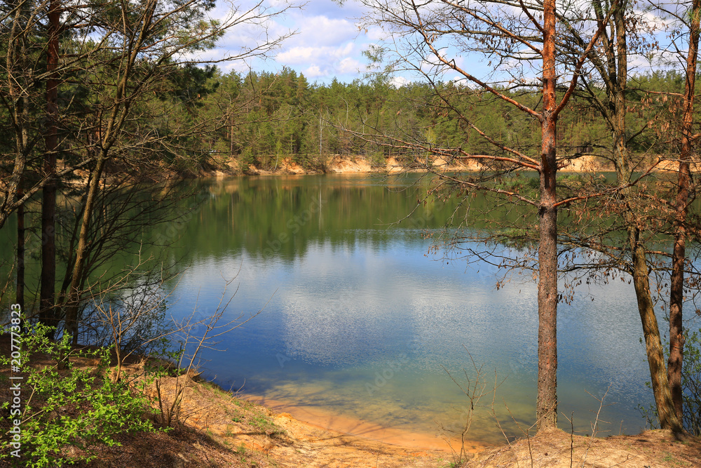Fototapeta premium nice day on lake in forest