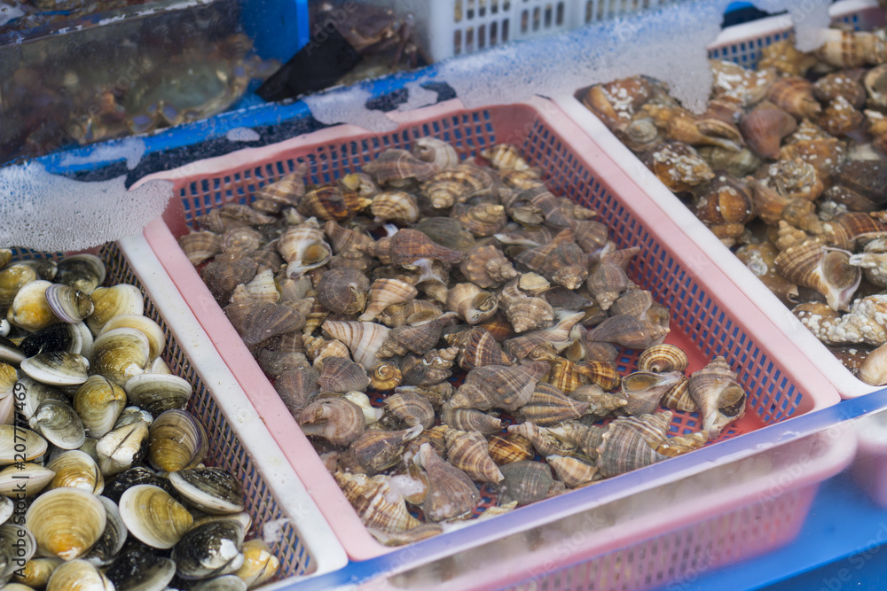 Small shells are in the tray in the street market, the top view Small shells are in the tray in the street market, the top view