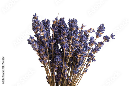 dry lavender isolated