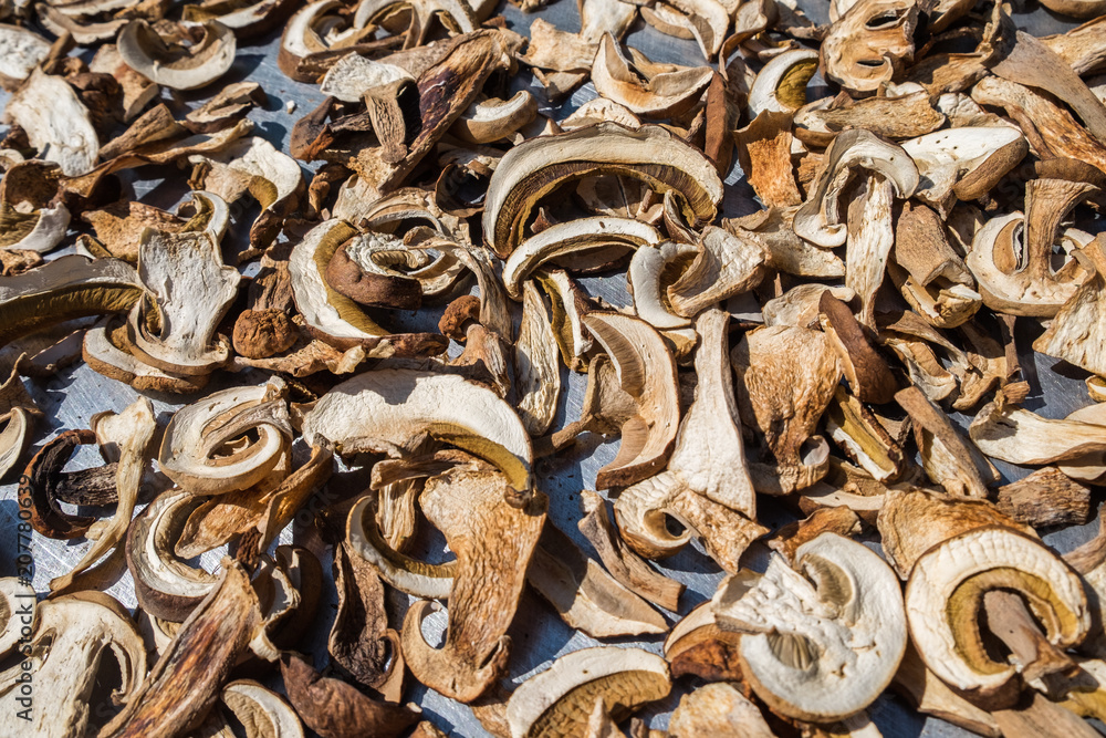 Sliced fresh Boletus Edulis mushrooms on metal surface. Drying process under sunlight. Sliced fresh Boletus Edulis mushrooms on metal surface. Drying process under sunlight.