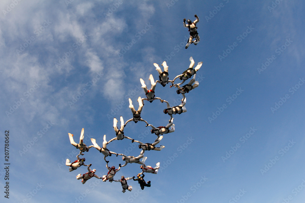 Obraz premium Formation skydiving