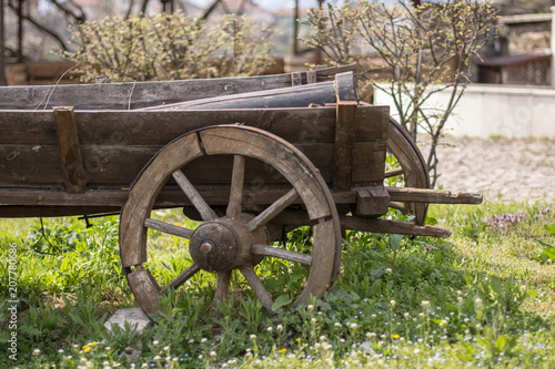 tahta at arabası photo