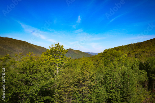 Overlooking the White Mountains