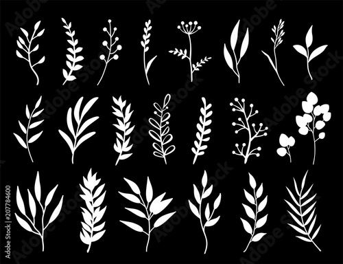 set of white herbs and branches