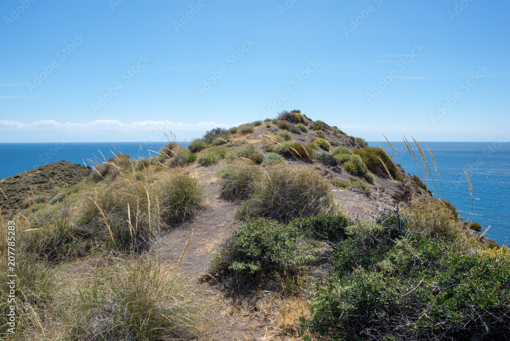 Mountain and sea in the sculptures of Cabo de Gata Mountain and sea in the sculptures of Cabo de Gata