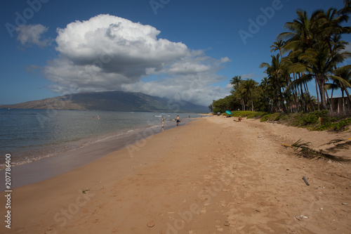 Beautiful tropical beach scene in Kauai  Hawaii