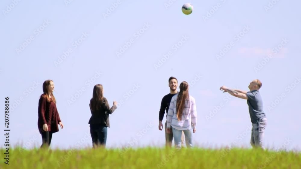 Group of friends on the summer field having fun playing volleyball Group of friends on the summer field having fun playing volleyball