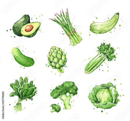 Assortment of green foods, watercolor vegtables illustration