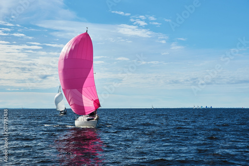 Quadro su tela Yachting race