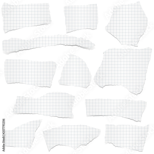 collection scrap of paper