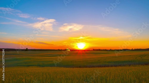 Sunset over the wheat field, time-lapse