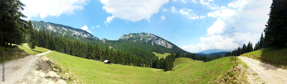 Panoramic view of Mount Piatra Craiului on summer