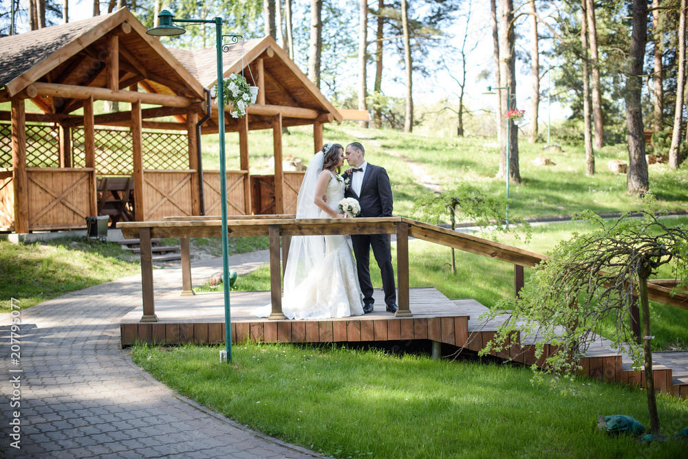 wedding pair hugging and kissing in love wedding pair hugging and kissing in love