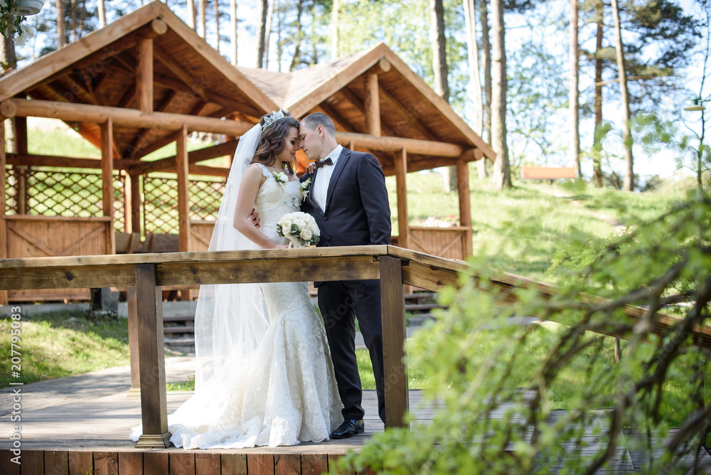 Bride and groom walking and holding hands in the forest on nature