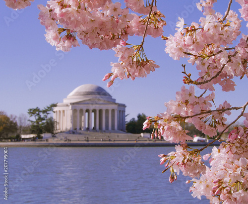 Jefferson Memorial during Cherry Blossom Festival in Washington, DC