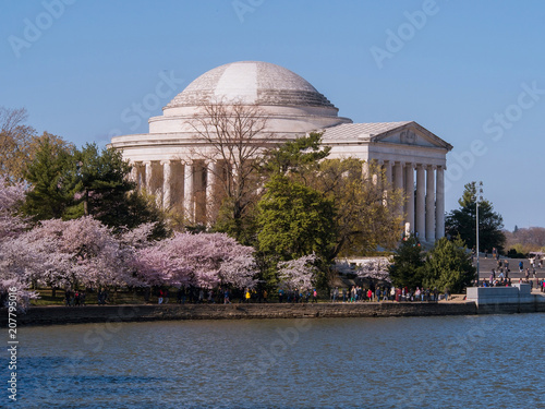 Jefferson Memorial during Cherry Blossom Festival in Washington, DC