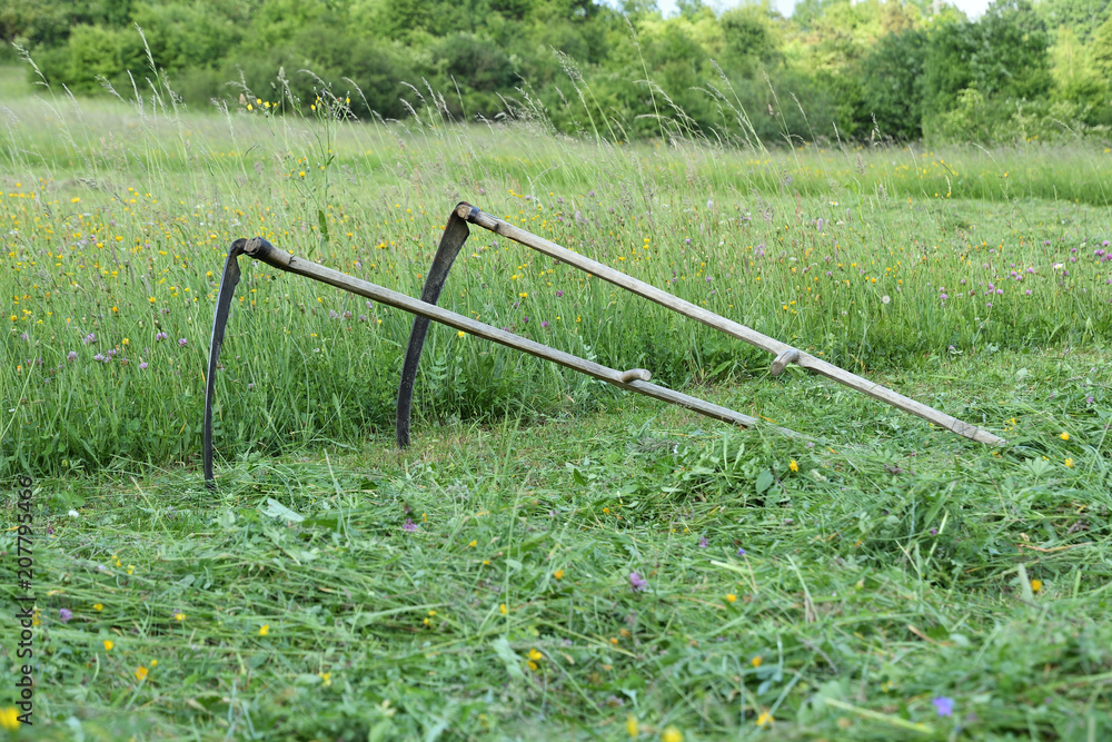 tradition scythe on mowing the green meadow tradition scythe on mowing the green meadow